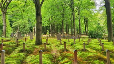 Algemene begraafplaats Rosendael