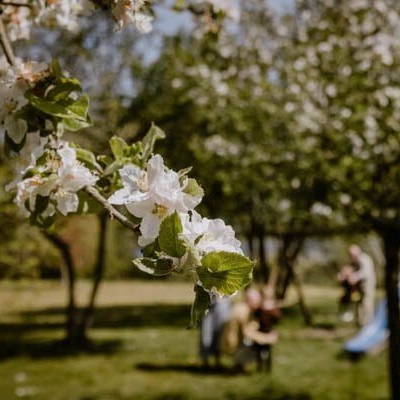 Natuurbegraven nabij Arnhem